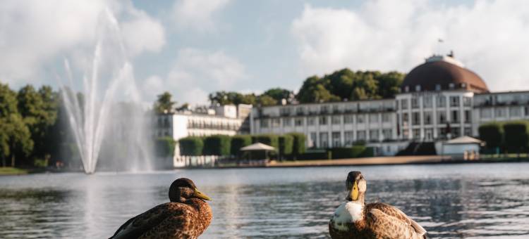 不来梅公园酒店(Parkhotel Bremen – ein Mitglied der Hommage Luxury Hotels Collection)图片