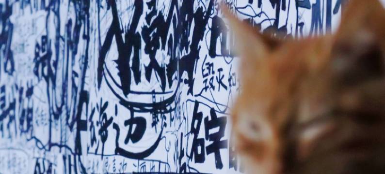 太原自由意志·青年旅舍图片