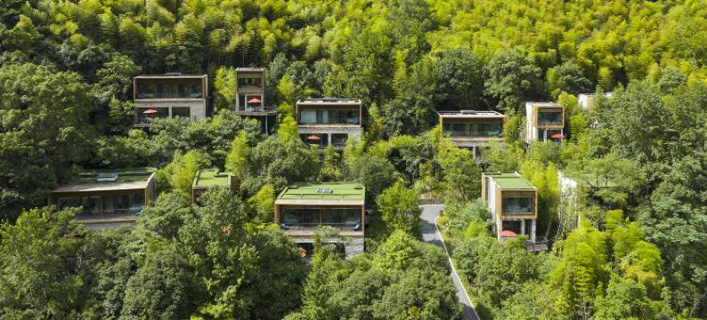 宁波宁海安岚图片