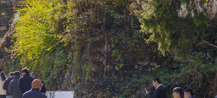 石台原生宿集民宿图片