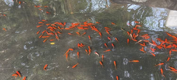 琼海博鳌和悦海景酒店图片
