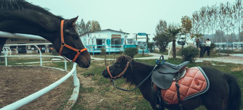 西安沐与·山外温泉民宿图片