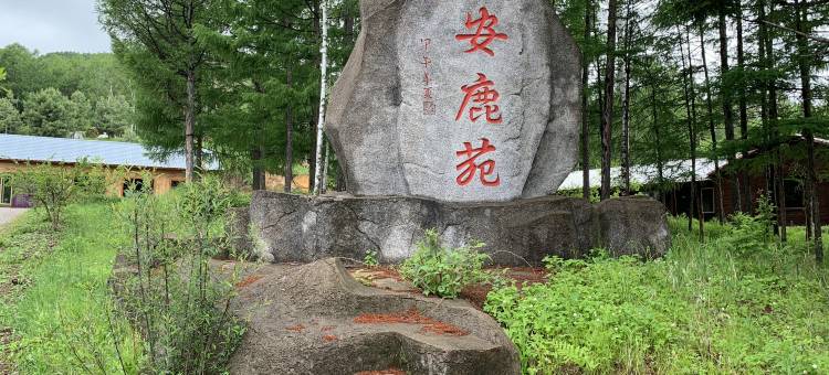 丰林兴安鹿苑图片
