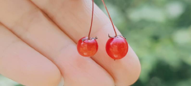 雷洞烟云.星空营地图片