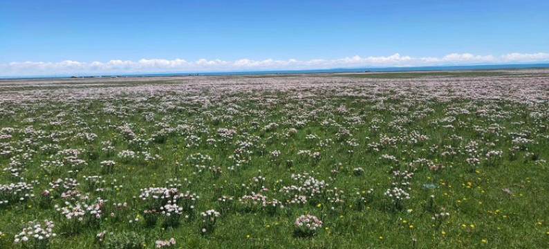 黑马河观日民宿图片
