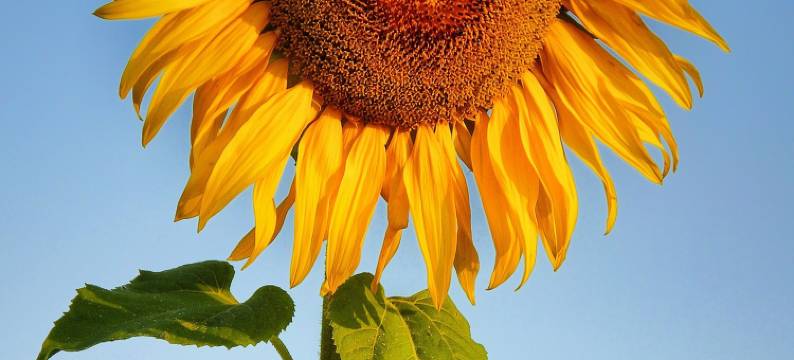 欢迎住宿(东莞火车站店)图片