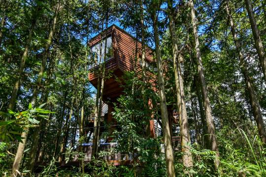 齐云山自由家·树屋世界图片