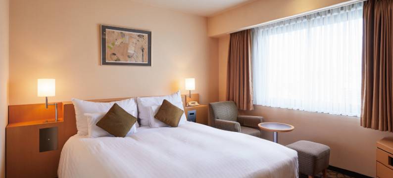 大阪守口丽都大酒店(Hotel Agora Osaka Moriguchi)图片