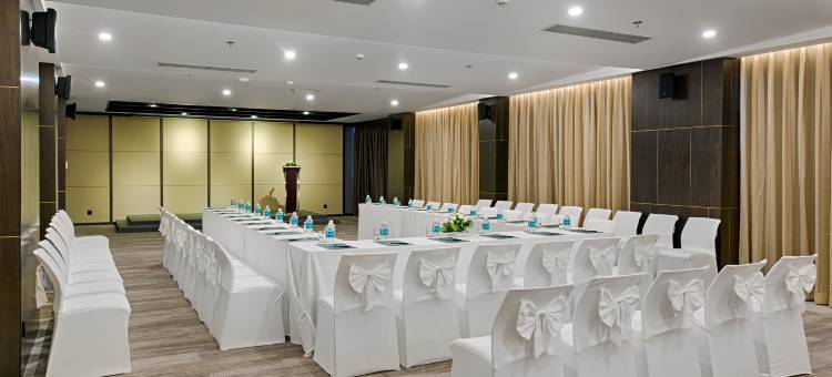 岘港 Satya 酒店(Satya Danang Hotel)图片