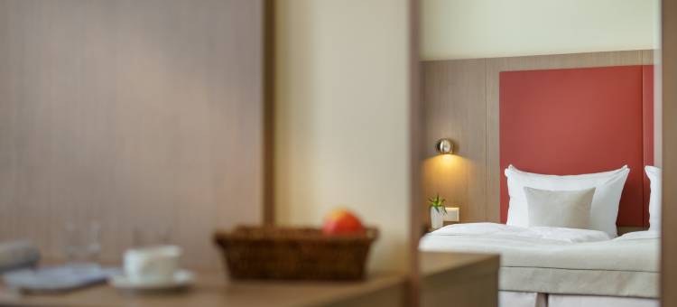 Norddeutscher 酒店(Hotel Norddeutscher Hof)图片