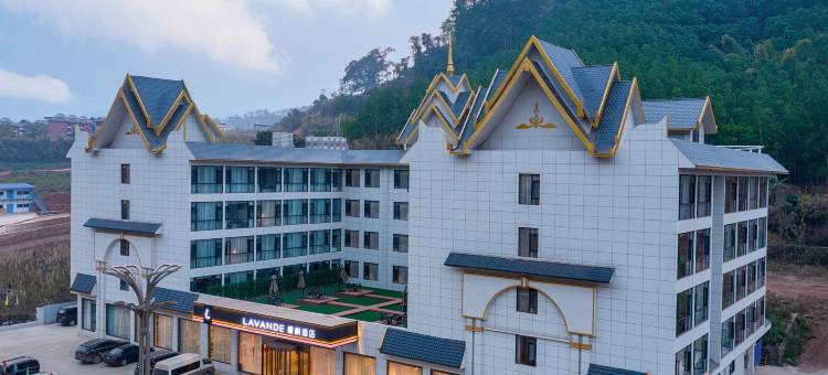 麗枫酒店(磨憨口岸店)图片