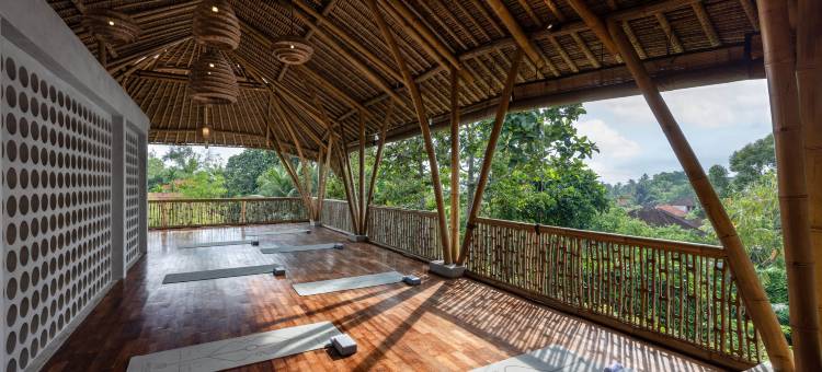 Dinara Ubud图片