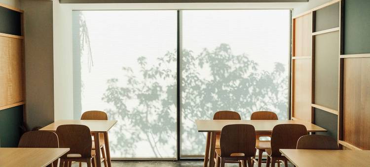 日光春和 Dayspring图片