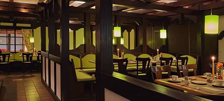 戈斯拉PLAZA INN酒店(PLAZA INN Goslar)图片