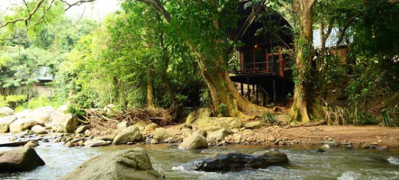 克里奥艾拉度假村(Clio Ella Resort)图片