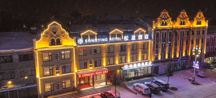 漠河松盈精选酒店图片