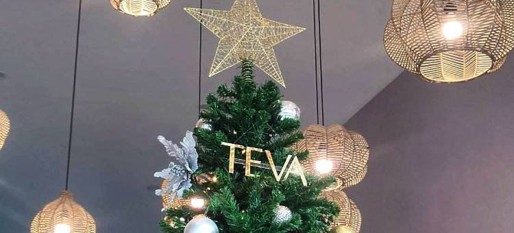 TEVA山谷度假村(Teva Valley Resort)图片