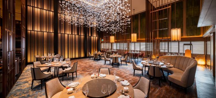 新加坡乌节希尔顿酒店(Hilton Singapore Orchard)图片