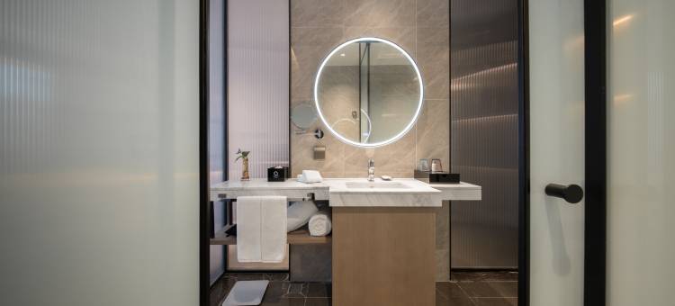 济南国博城绿地铂骊酒店图片