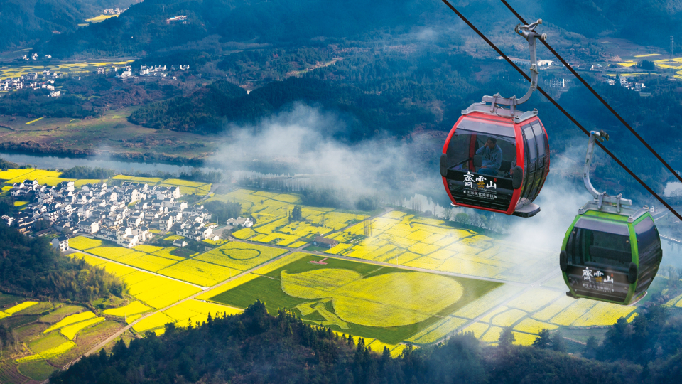 Ziyoujia · Tree house World Over view