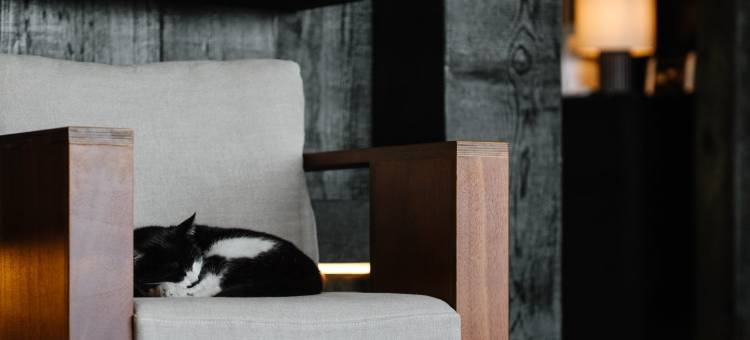 观海宿集酒店图片