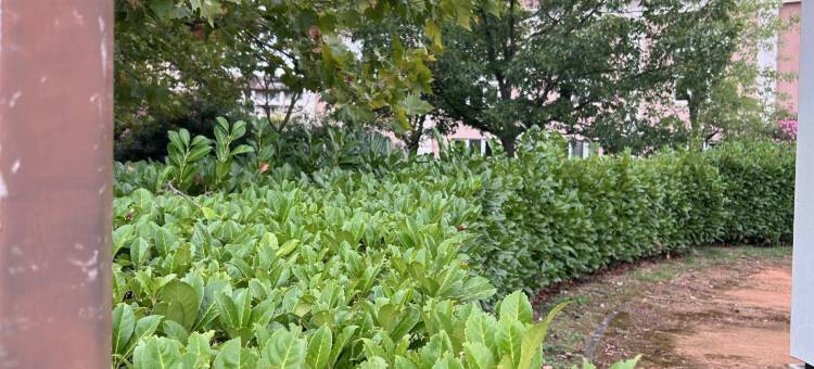 宜必思图卢兹普尔班酒店(Ibis Toulouse Purpan)图片