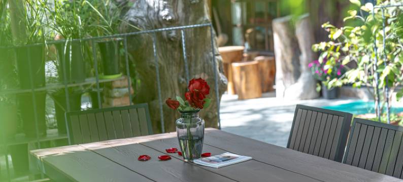 缙云初见仙都民宿图片