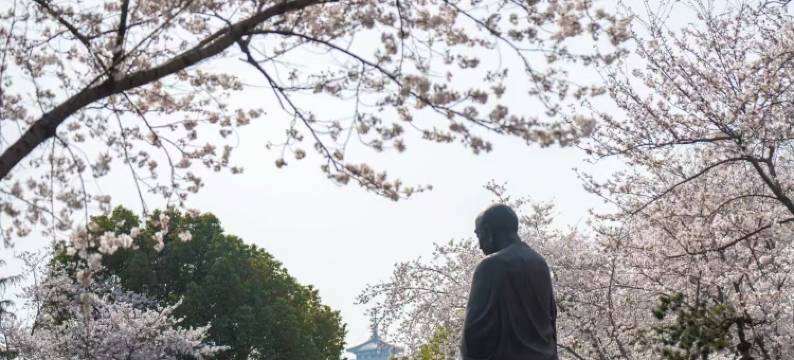 瘦西湖宋城度假酒店图片