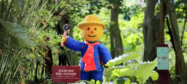 三亚亚龙湾红树林度假酒店图片