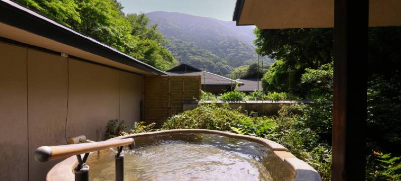 奥汤河原海石榴酒店(Oku Yugawara Tsubaki)图片