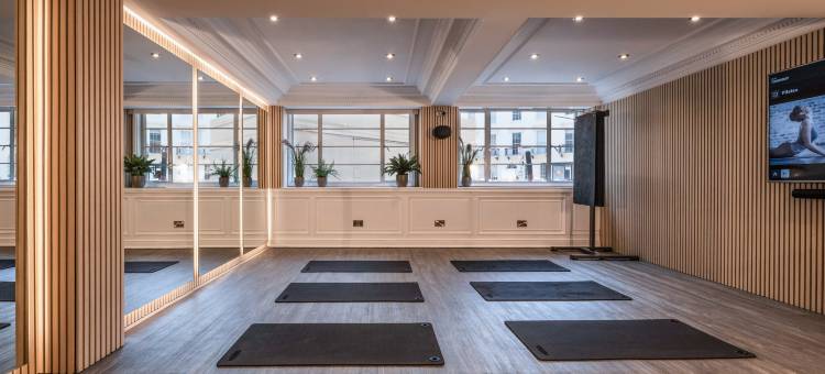 白宫美利亚酒店(Melia White House Hotel)图片