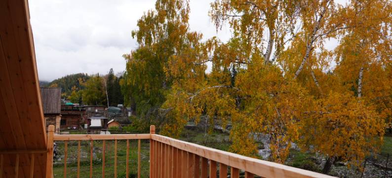 白哈巴山止川行·崧慢集民宿图片