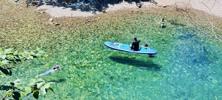 仙居麦田·雅朵酒店(吾悦广场市民体育公园店)图片