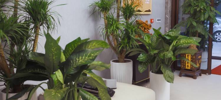 锦州橘子酒店(火车站凌河夜市店)图片