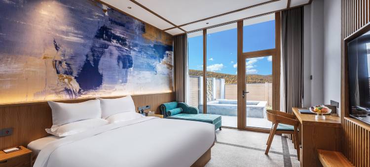 阿尔善金江沟国际维景度假温泉酒店图片