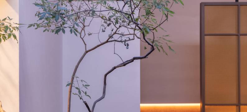 洛阳舍南舍北酒店(应天门景区地铁站洛邑古城店)图片