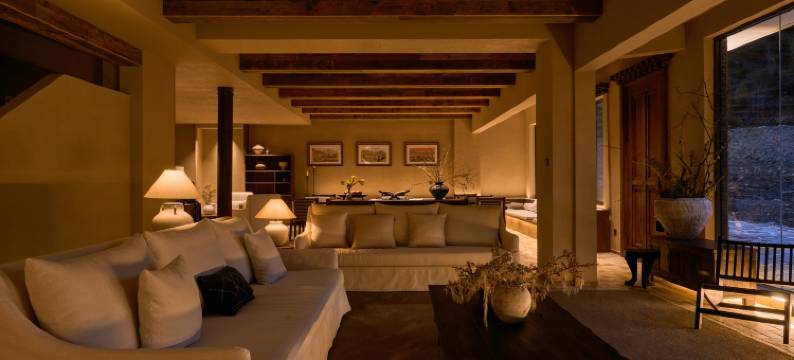 四姑娘山绿绒蒿MECONOPSIS金山庄园图片