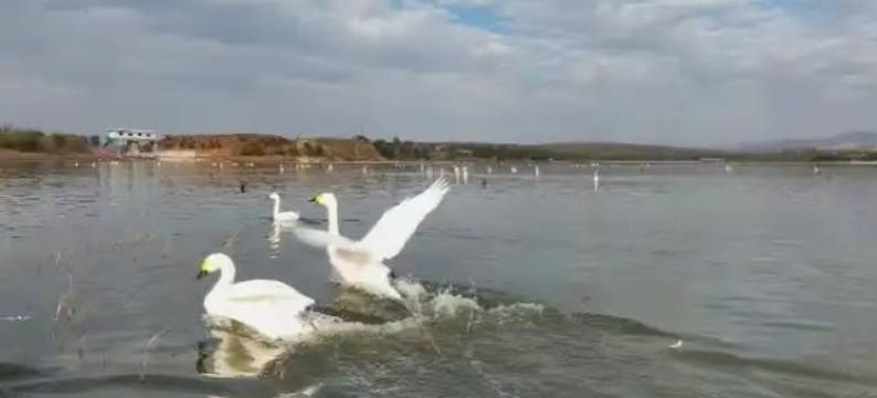 欧纳斯酒店图片