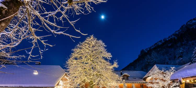 欢乐生活瑞士优质酒店(Hotel Kemmeriboden-Bad AG)图片