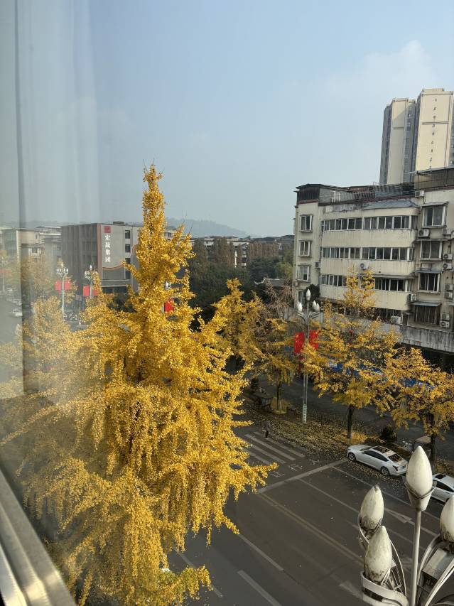 城市便捷酒店(眉山洪雅店)图片