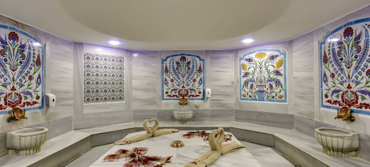 伊斯坦布尔老城华美达酒店(Ramada by Wyndham Istanbul Old City)图片