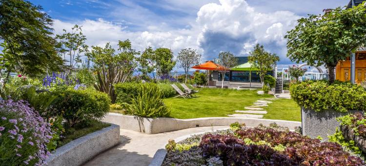 大理古城漫心府图片