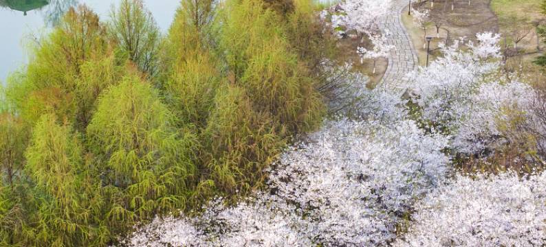 苏州阳澄湖泰康万豪酒店图片