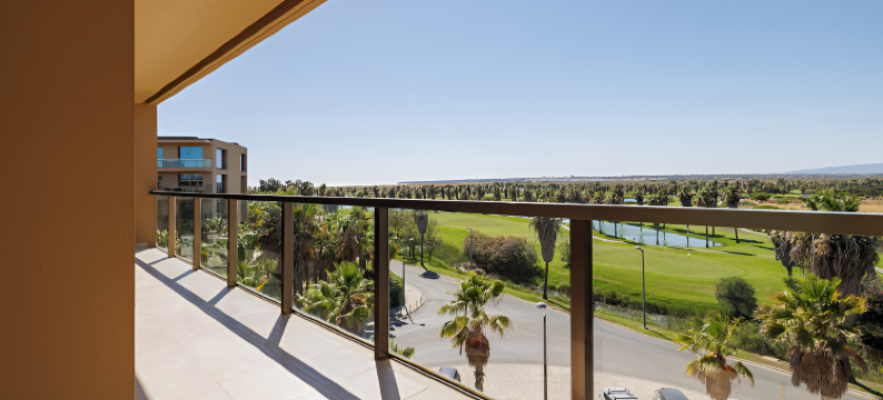 Flamingos Salgados图片