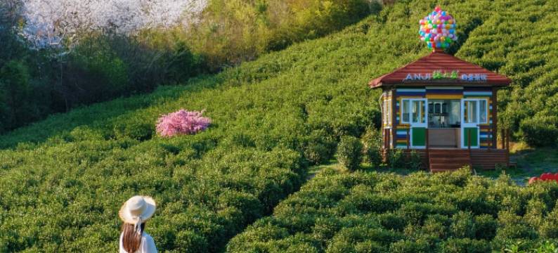 云上陈墅民宿(安吉云上草原游客中心店)图片