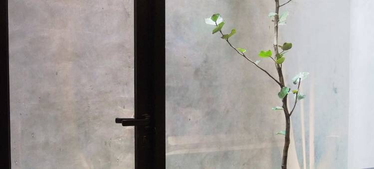 Maisola by ARTOTEL 三宝垄(Maisola by ARTOTEL Semarang)图片