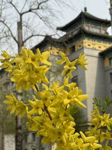 北京友谊宾馆贵宾楼图片