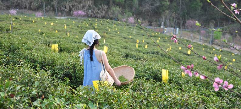 鄂州拾乐园花溪民宿图片