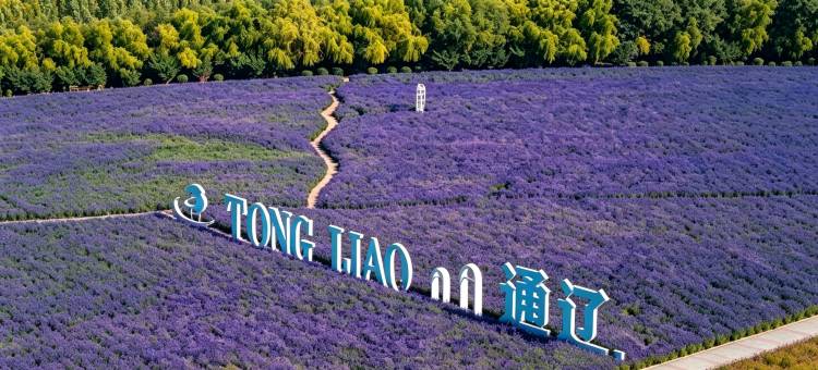 如家UP·华驿精选酒店(通辽市政府广场科尔沁区第四中学北校区店)图片