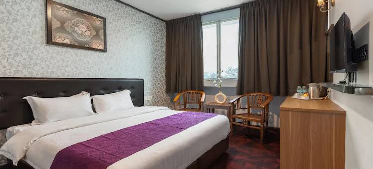 紫藤酒店(Hotel Vistaria)图片